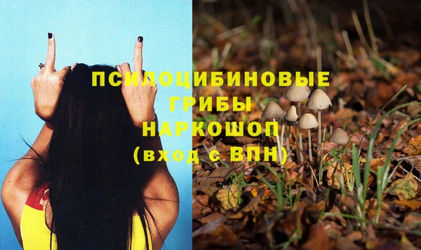 герыч Абаза